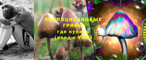 стаф Куйбышев